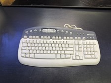 Vintage Microsoft MultiMedia Keyboard 1.0A KB-0168 Wired PS/2 Gray White picture