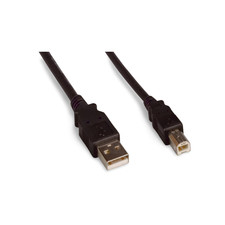 1ft USB 2.0 Computer Cable Type A Male to Type B Male - Black picture