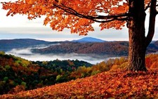 Landscape fall trees hills leaves mist far view fallen Custom Gaming Mat Desk picture